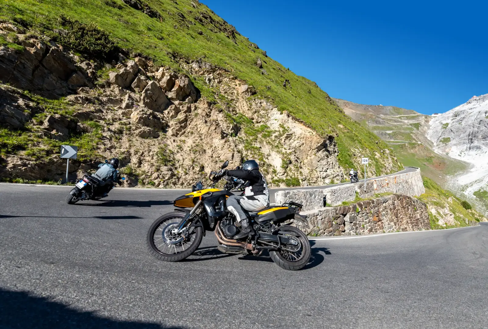 coyote col dello stelvio